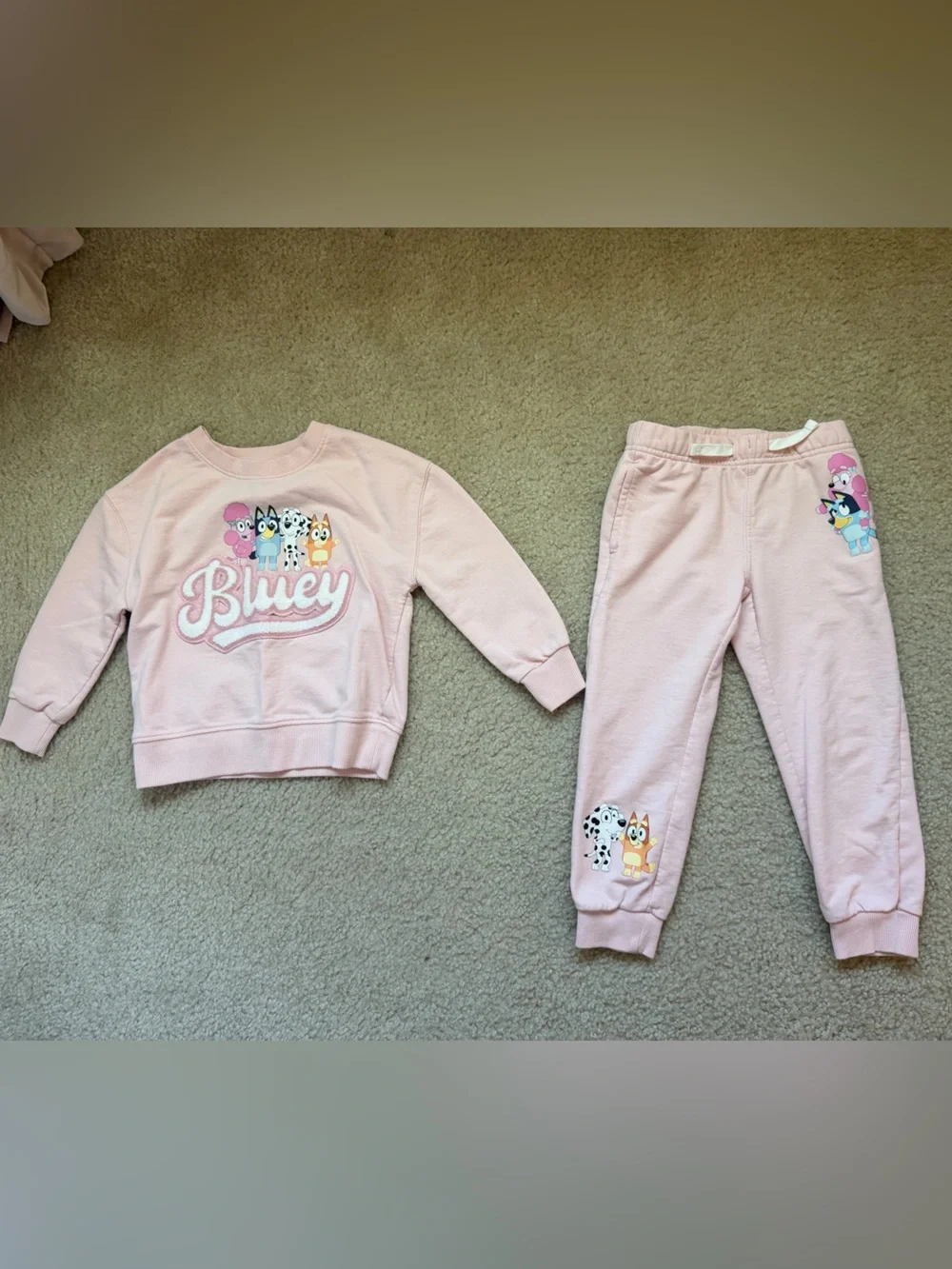 Girls Bluey matching set sweatshirt and sweatpants pink 4T